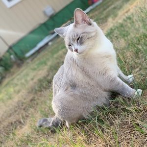 Meet your Posher, Veronica